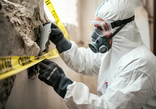 Asbestos Removal